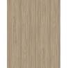 LTD K Přírodní Jilm Noble 5500SU 18x2070x2800mm