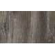 LTD E Pinie Pasadena H1486 ST36 18,6x2070x2800